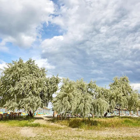 Nordic 81 Onix Blue Apartment *