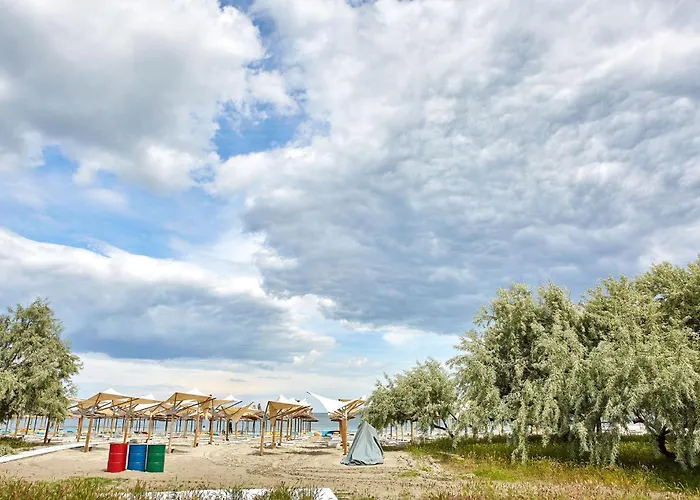 Nordic 81 Onix Blue * Navodari